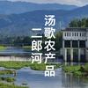 汤歌(宿松)农产品公司
