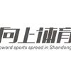 山东向上体育