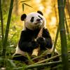 爱熊猫