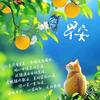 随遇而安@