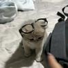 生椰打铁☕