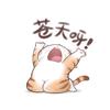 萤火虫