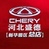河北石家庄盛德奇瑞新华总店