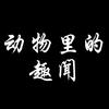 动物里的趣闻