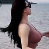 燕子故事会