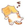 猫与白