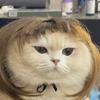 474