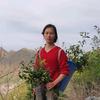 小艳寻百草