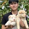 阿贵犬宠