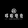哆哆爱电竞
