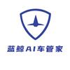 蓝鲸车管家风险防控服务
