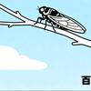 百蝉甄选