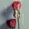 蓝不住