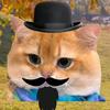 猫猫meme小剧场