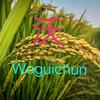 以往  Woguichun