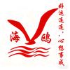 魅力律动♥ 海鸥曳舞