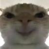 小馋猫（三角洲行动）