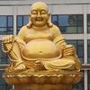 燕舞飞扬