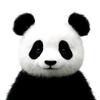 熊猫maofufu