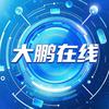 大鹏在线