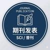刘老师学术指导