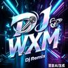 柳州Dj-WXM