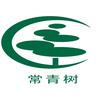 常青树官方店