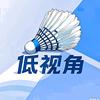 低视角羽毛球
