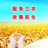 萝卜白菜葱姜蒜各有所爱