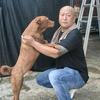 峰哥犬业