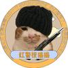 红警橙猫猫