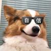 游戏牛马仙女