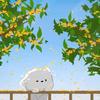 屿安（苏兔）
