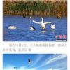孟庆云(EdwardMeng)