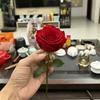 🇨🇳󰠇 广东卫浴界的陈总