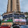 南充市白土坝名宠动物医疗马医生