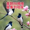 一个∵