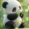 青栀无梦