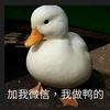 做咩鸭