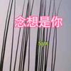 念想是你