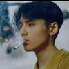 斑马不认识大象