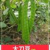 身体很好