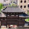 诺哥