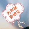 当年醉卧桃花