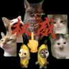 香蕉猫meme小剧场