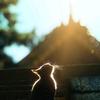 壹零零柒