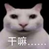 肥鱼甘油