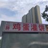 🌈济阳二胖纯手工鸡蛋灌饼