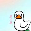 娱大鹅