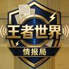 王者世界情报局